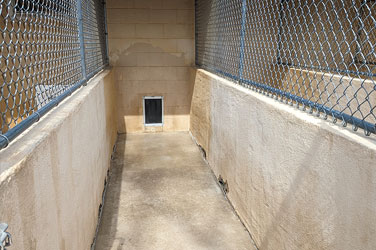 Golden Wood Kennel Dog Boarding